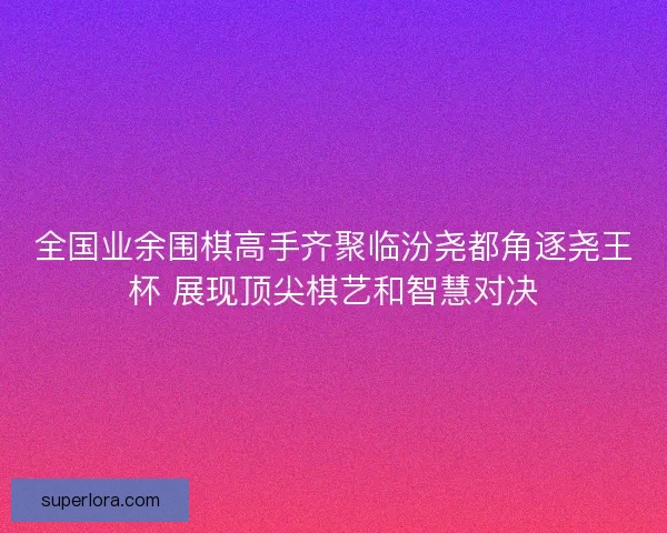 全国业余围棋高手齐聚临汾尧都角逐尧王杯 展现顶尖棋艺和智慧对决