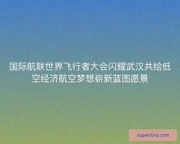 国际航联世界飞行者大会闪耀武汉共绘低空经济航空梦想崭新蓝图愿景