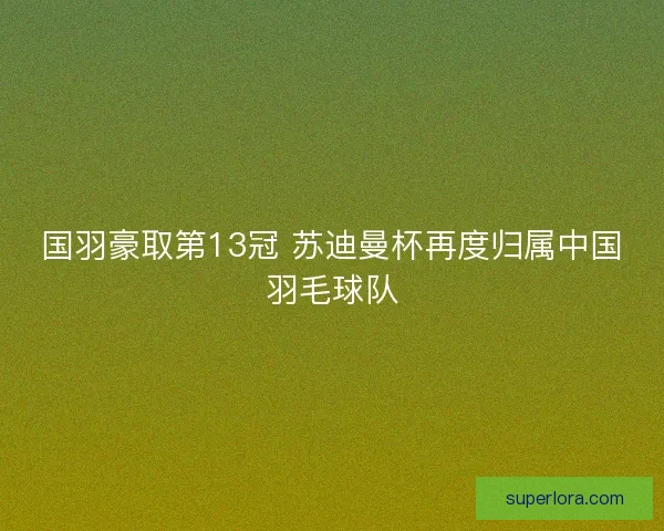 国羽豪取第13冠 苏迪曼杯再度归属中国羽毛球队