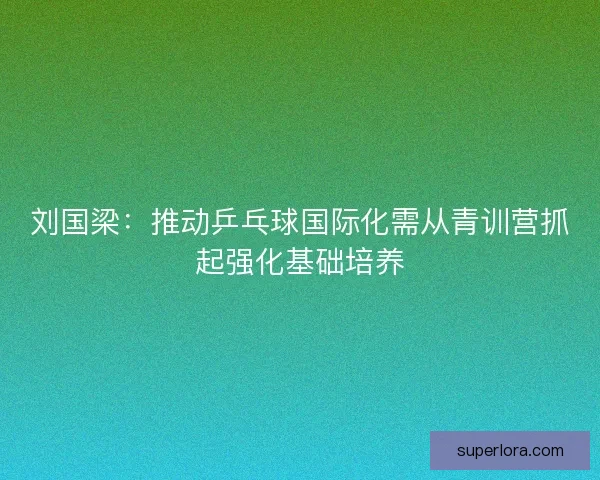刘国梁：推动乒乓球国际化需从青训营抓起强化基础培养
